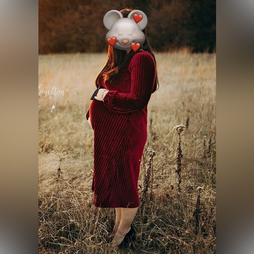 Mama Licious Rich Red Velvet Dress
